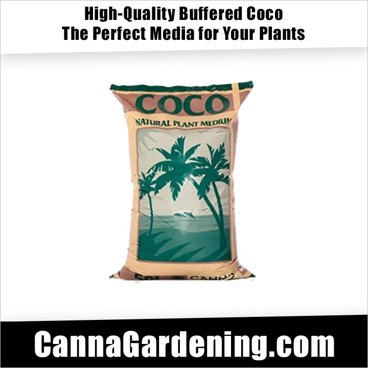 Canna Coco