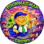Profile photo of Mailman