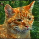 Profile photo of GrowCat