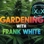 Profile photo of Frank_White