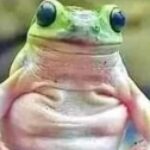 Profile photo of mountainmatt