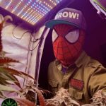 Profile photo of SPIDER-REEFER