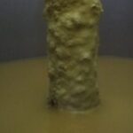 Profile photo of nutkick