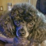 Profile photo of marzig