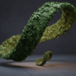 Profile photo of Mobius