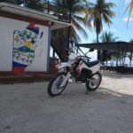 Profile photo of jinxcat