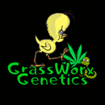 Profile photo of GrumpyGrasshole