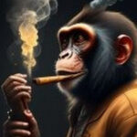 Profile photo of Munkee