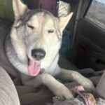 Profile photo of Mr.IRIE