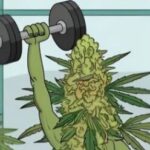 Profile photo of ARMYGUY06