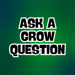 Grow Talk / Questions